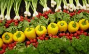 Romania desemnata Tara Anului la cel mai important targ de agricultura ecologica