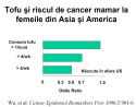 Tofu si riscul de cancer mamar la femeile din Asia si America - Tofu este branza din soia