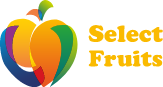 Select Fruits - Conectam producatorii din toata lumea cu retailerii din Romania. Avem o retea stabila de producatori parteneri. Furnizam o gama varianta de fructe si legume [vegetale]. - SelectFruits.ro